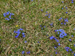 DSCN9908