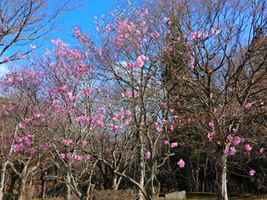 DSCN0045