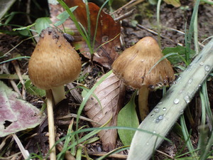 P9270280