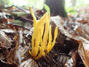 P9231031