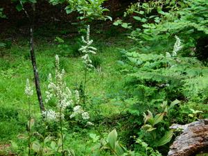 DSCN0632