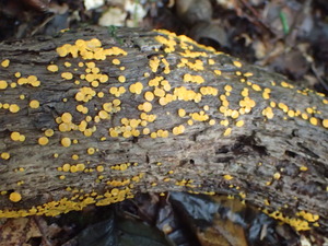 P9231091