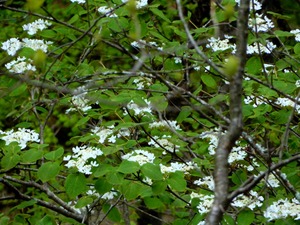 DSCN0734