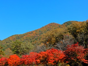 DSCN1726
