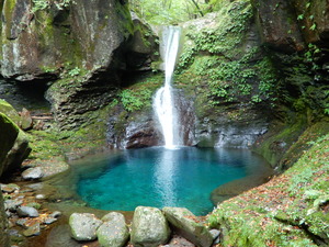 DSCN0742