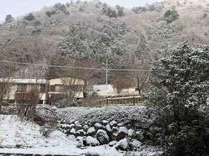 IMG_5474