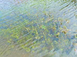 DSCN0056