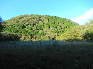 DSCN0003