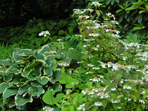 DSCN0181