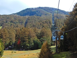 DSCN9545