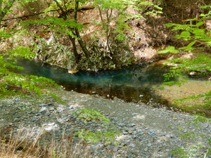 DSCN0257