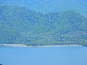 DSCN9714