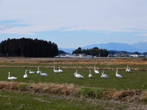 DSCN8859