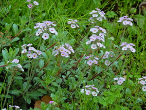 DSCN0149