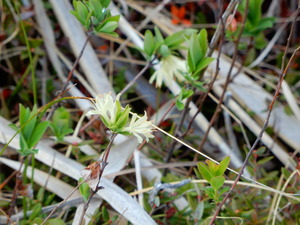 DSCN0753