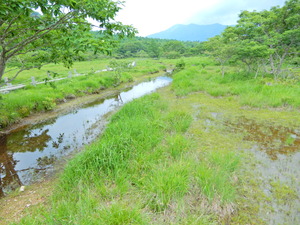 DSCN0142