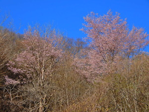 DSCN9905