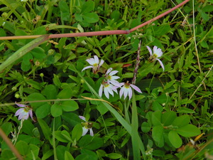 DSCN0446