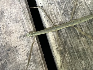 DF77C578-E1E0-43C4-B20C-5F0DCB0B82ED