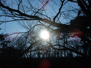 DSCN9735