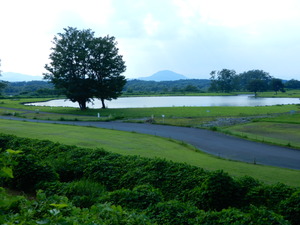 DSCN1035