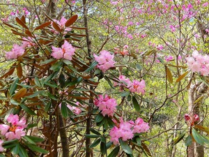 DSCN9712
