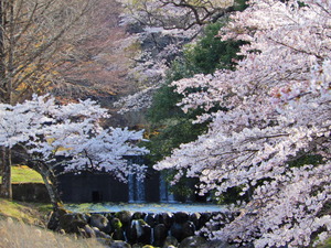 DSCN2878