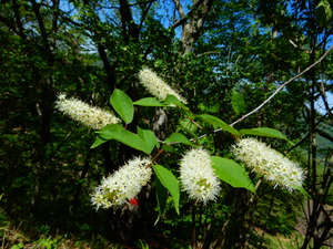 DSCN0426