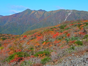 DSCN9637