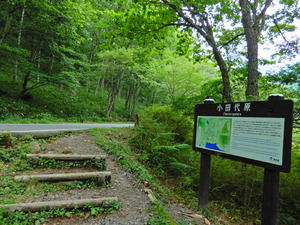 DSCN9470