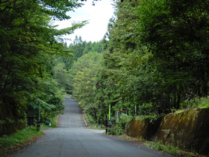 DSCN8362
