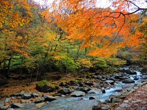 DSCN1451
