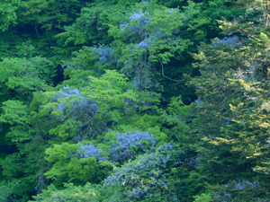 DSCN9977