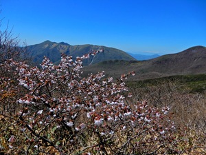 DSCN0250