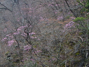 DSCN9589