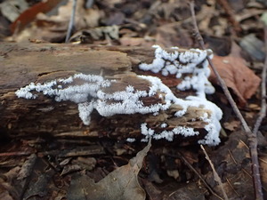 P8224036