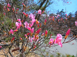 DSCN9660