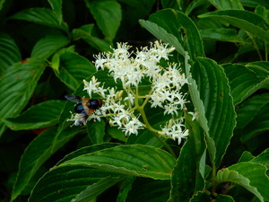 DSCN0182