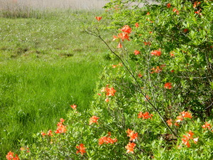 DSCN1486