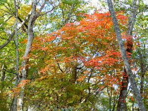 DSCN9938