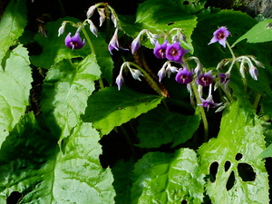 DSCN9574