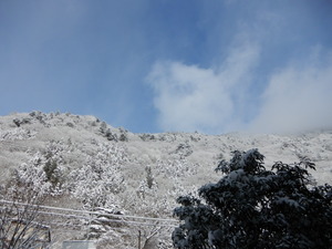 DSCN9311
