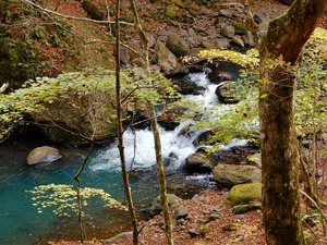 DSCN4331