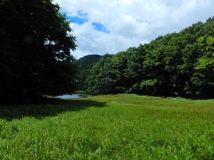 DSCN9996