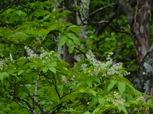 DSCN0048