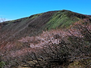 DSCN0103