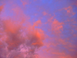 DSCN9979