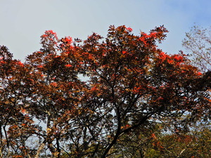 DSCN9555
