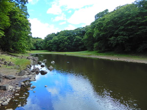 DSCN0034