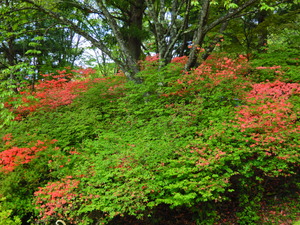 DSCN9847